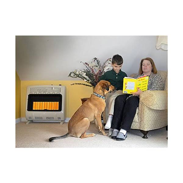 Mr. Heater F299830 30,000 BTU Vent Free Radiant Propane Heater - Image 6